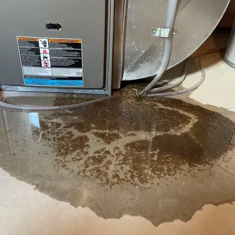 Appliance Leak Cleanup in Del Rio, TX